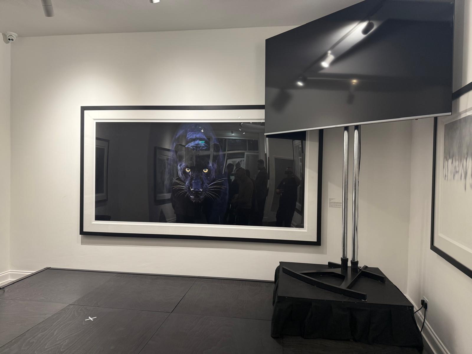 Maddox Gallery London